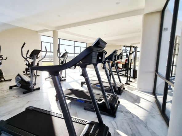 Gema Residencial Pachuca Lotes Residenciales